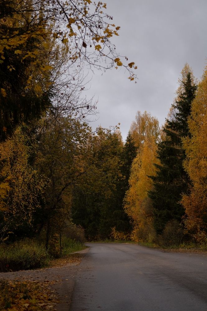 Photograph by Екатерина Одинцова