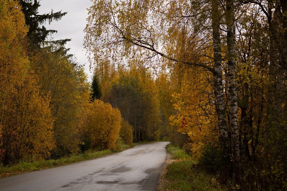 Photograph by Екатерина Одинцова