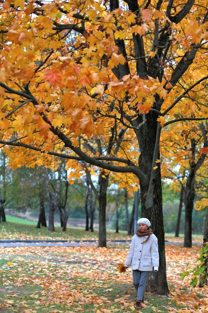 Photograph by Ирина Волк