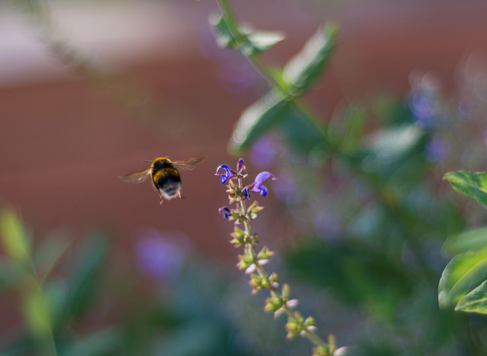 Photograph by Николай Михалев