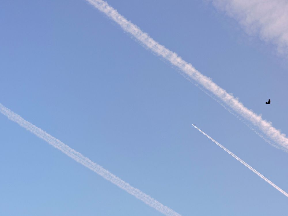 Параллельные / Parallels