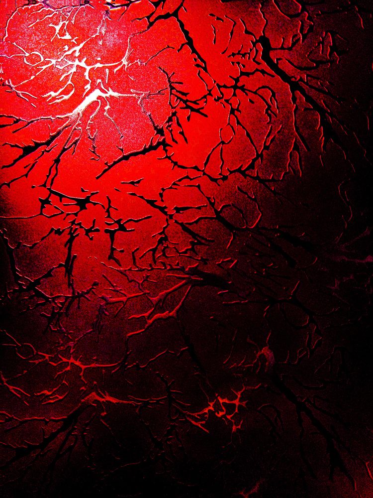 Photograph by Михаил Еремеев