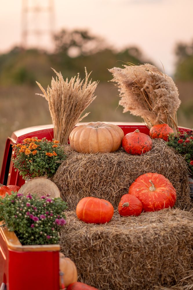 Photograph by Никита Ткачев