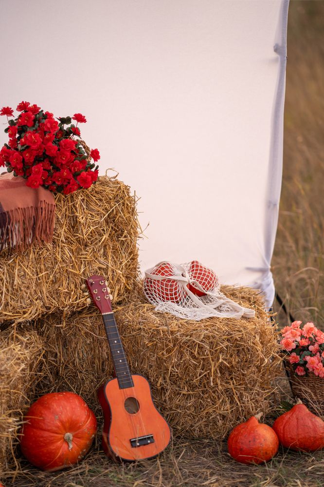 Photograph by Никита Ткачев