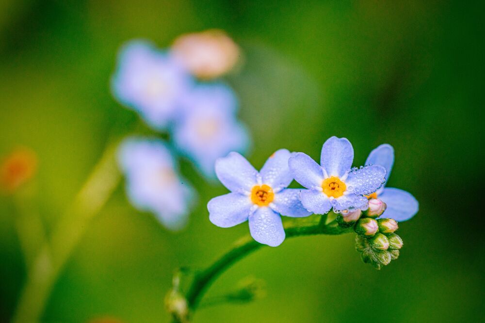 Photograph by Марущак Александр