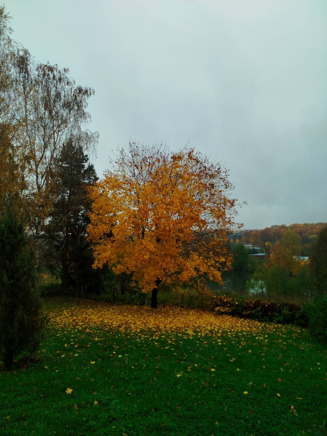 Photo #12702466