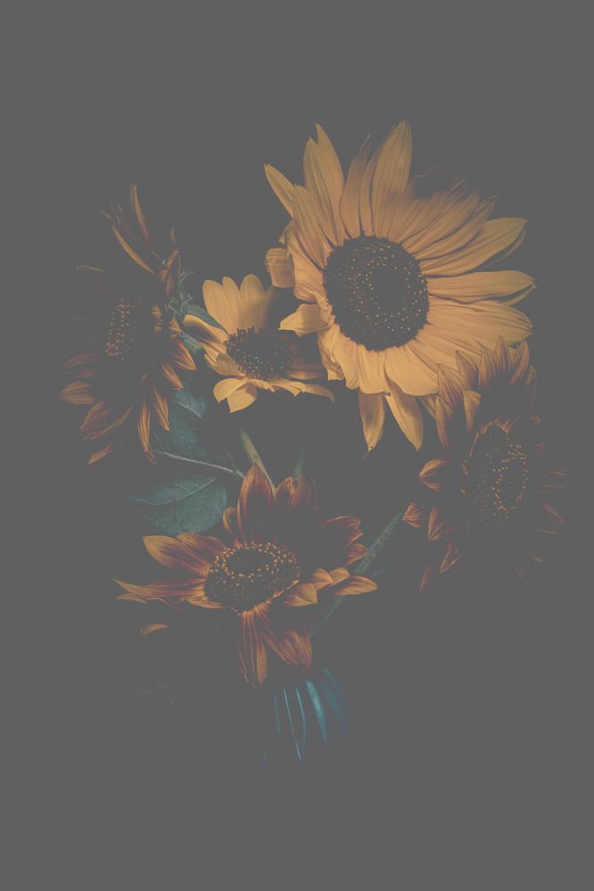 Photograph by Szilvia Farkas