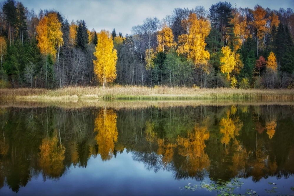 Фотография автора Сергей Назаредский