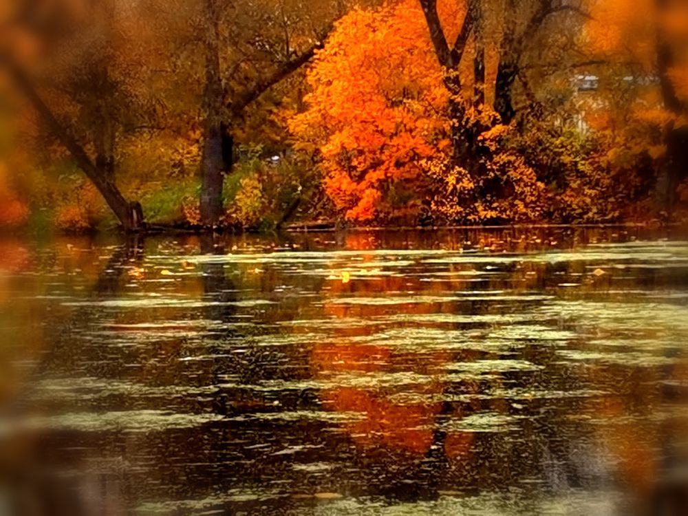 Photograph by Olga Kupriyanova