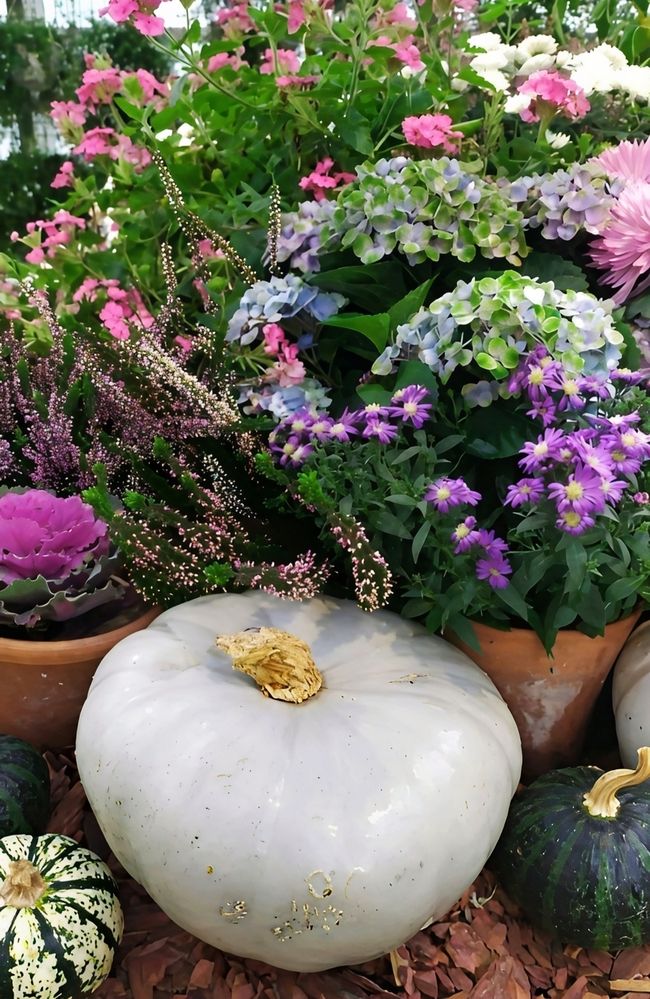 Photograph by Юлия Холомцева