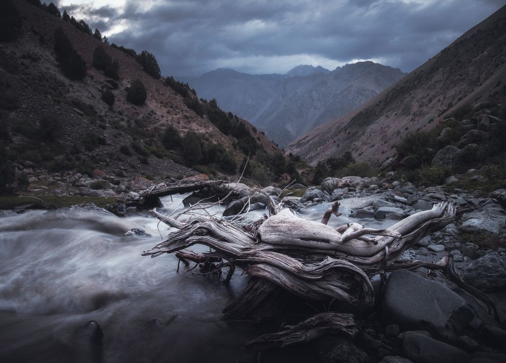Photograph by Грамаков Юрий