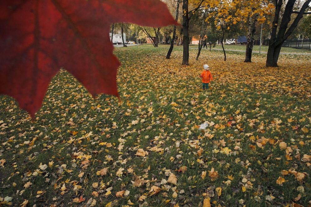 Photograph by Кристина Куликова