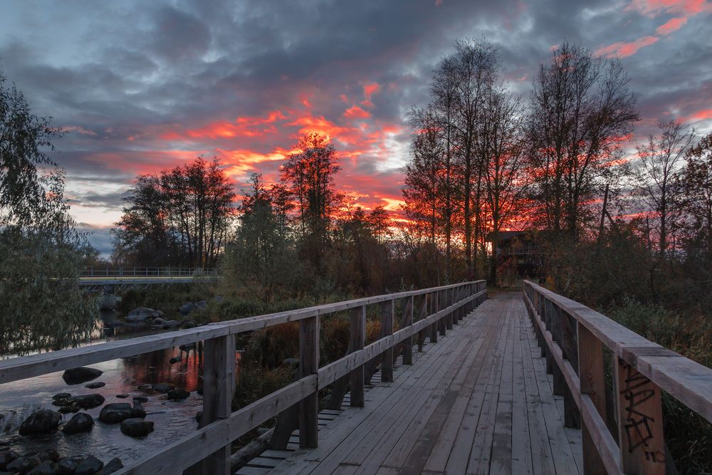 Photograph by Олег Бабурин