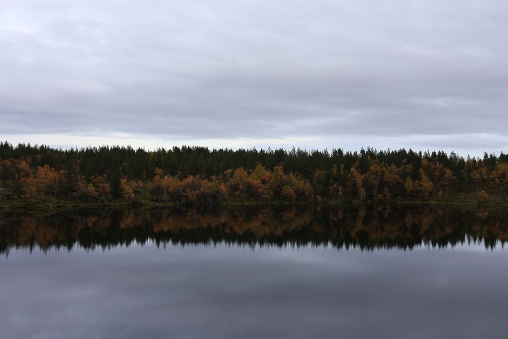 Photograph by Екатерина Иванова