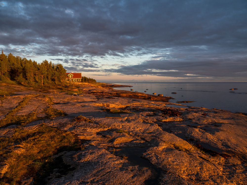 Photograph by Шейко Анна