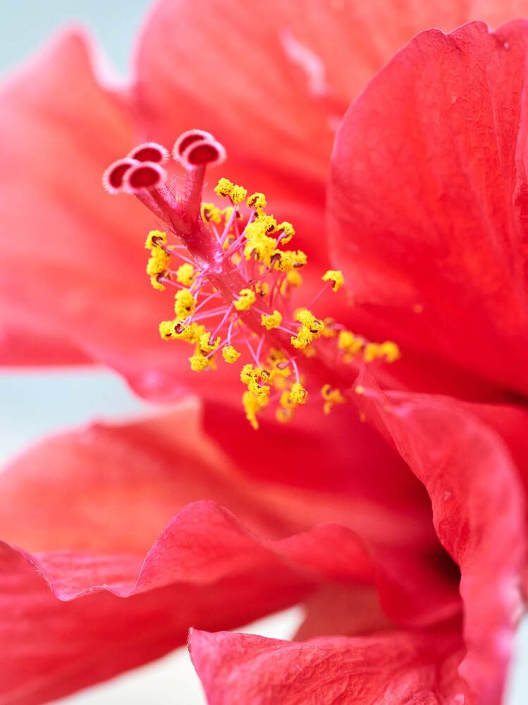 Photograph by Mikhail Kirillov