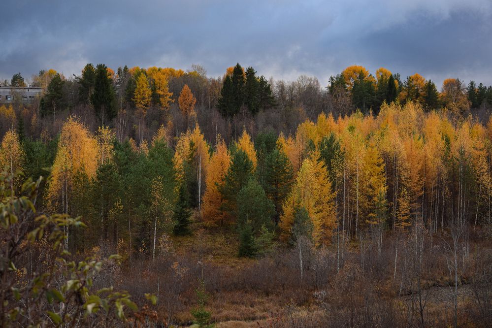 Фотография автора Оксана Льдинина