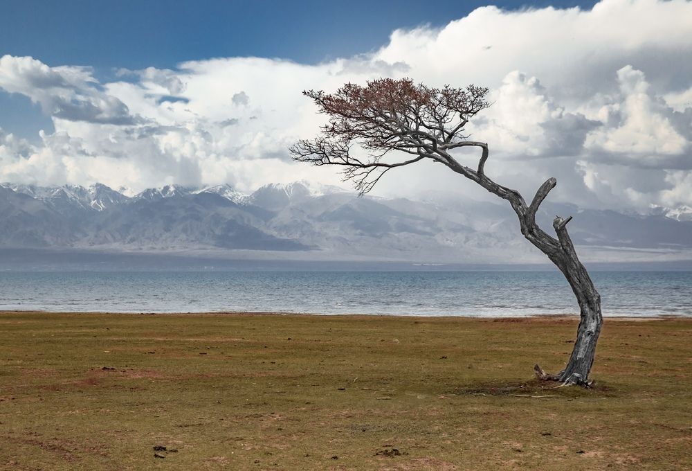 Фотография автора Светлана