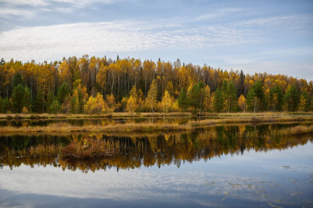 Photograph by Andrey Nuzhdin