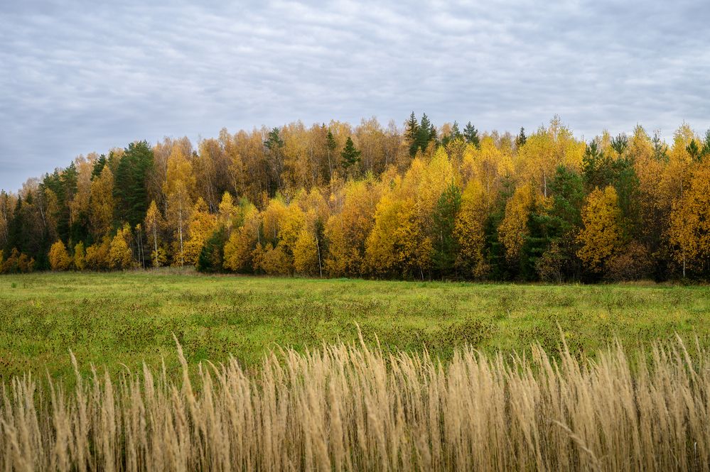 Photograph by Andrey Nuzhdin