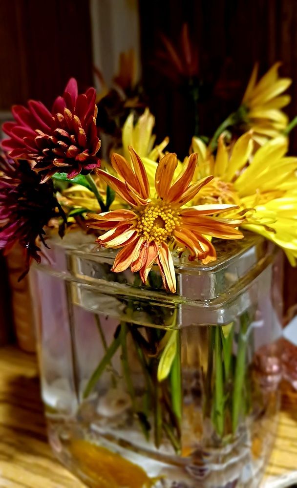 Photograph by Елена Воронова