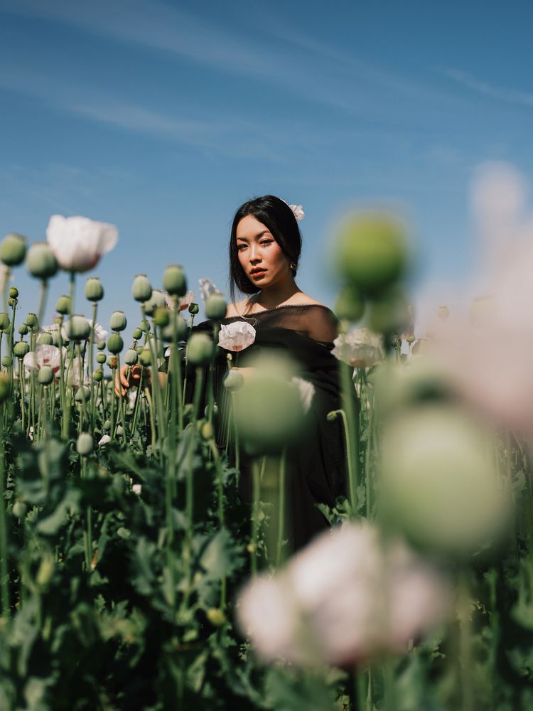 Photograph by Jane Sunny
