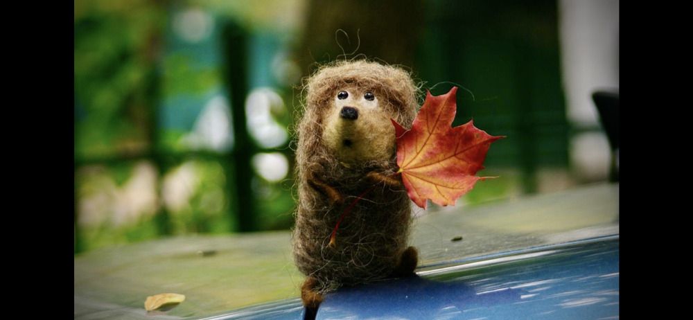 Photograph by Ирина Швейнова