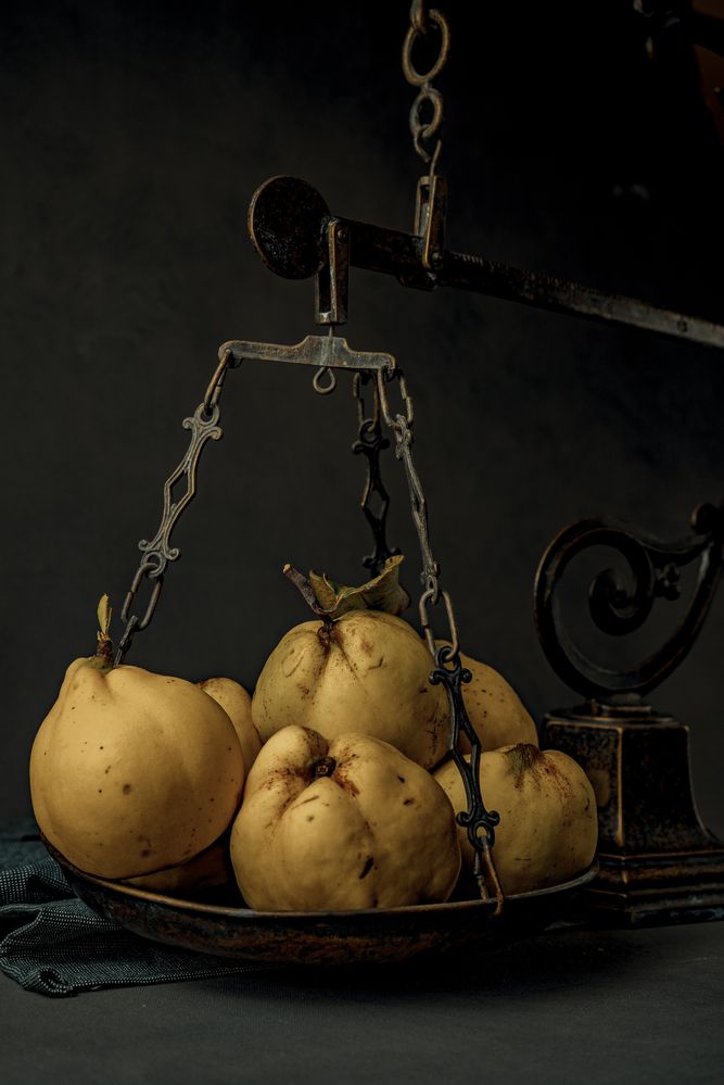 Photograph by Natalia van der Smissen