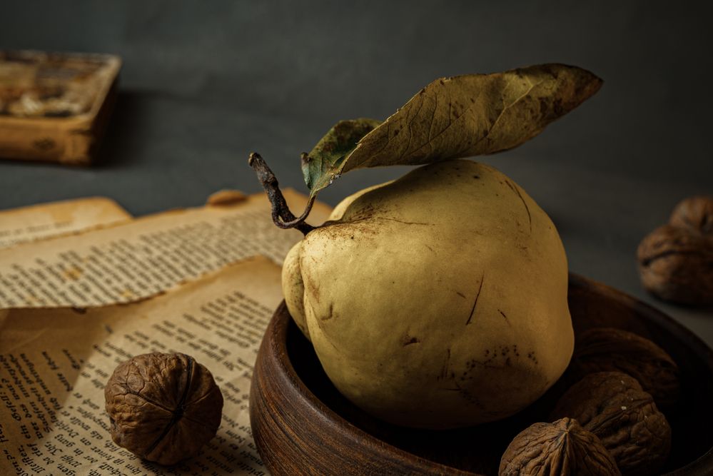 Photograph by Natalia van der Smissen