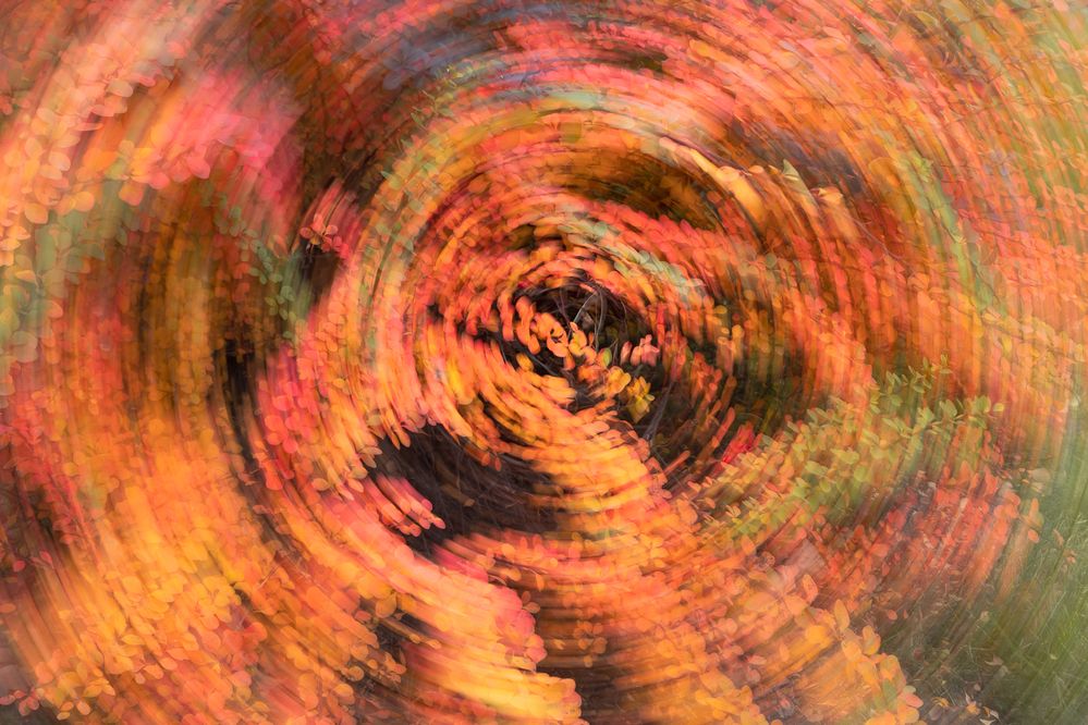 Photograph by Александр Аседач