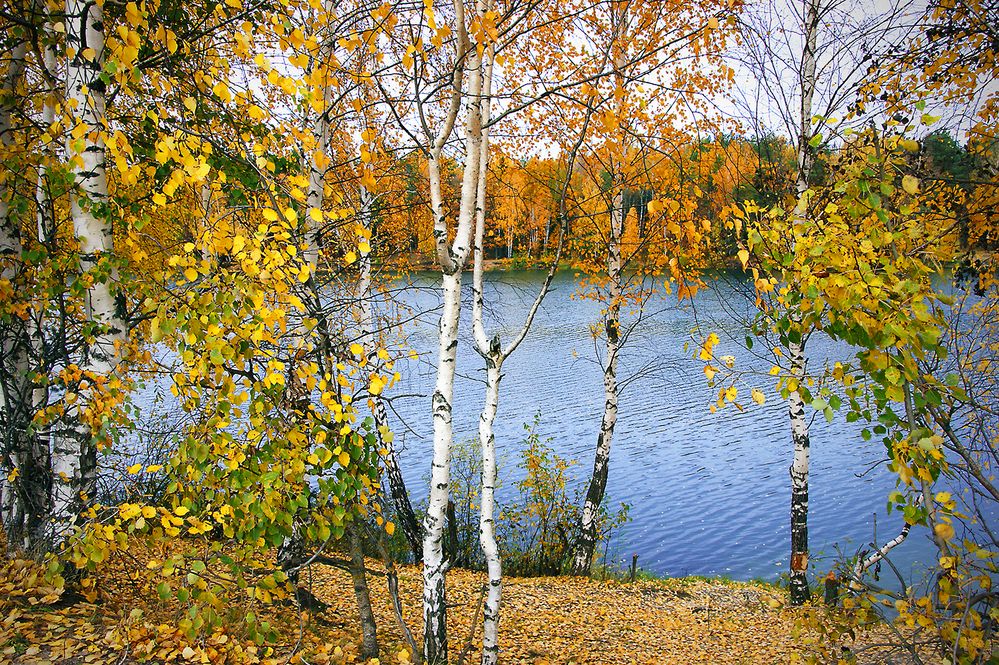 Photograph by Борис Назаров