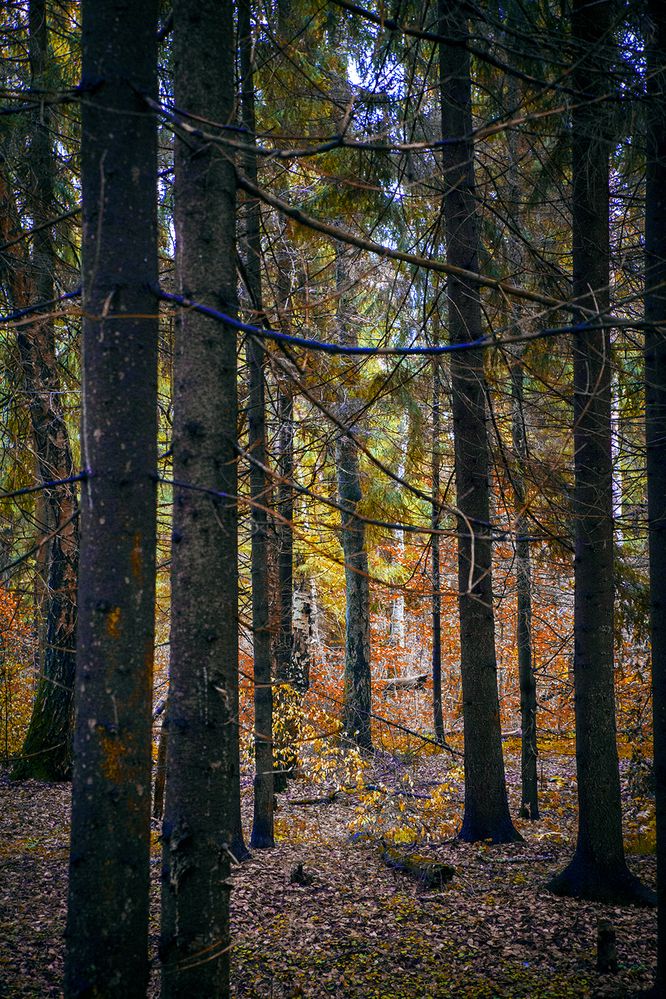 Photograph by Борис Назаров