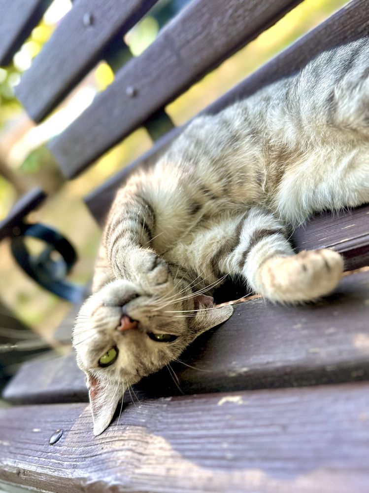 Фотография автора Юлия Новоселова