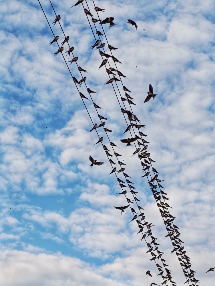 Фотография автора Юлия