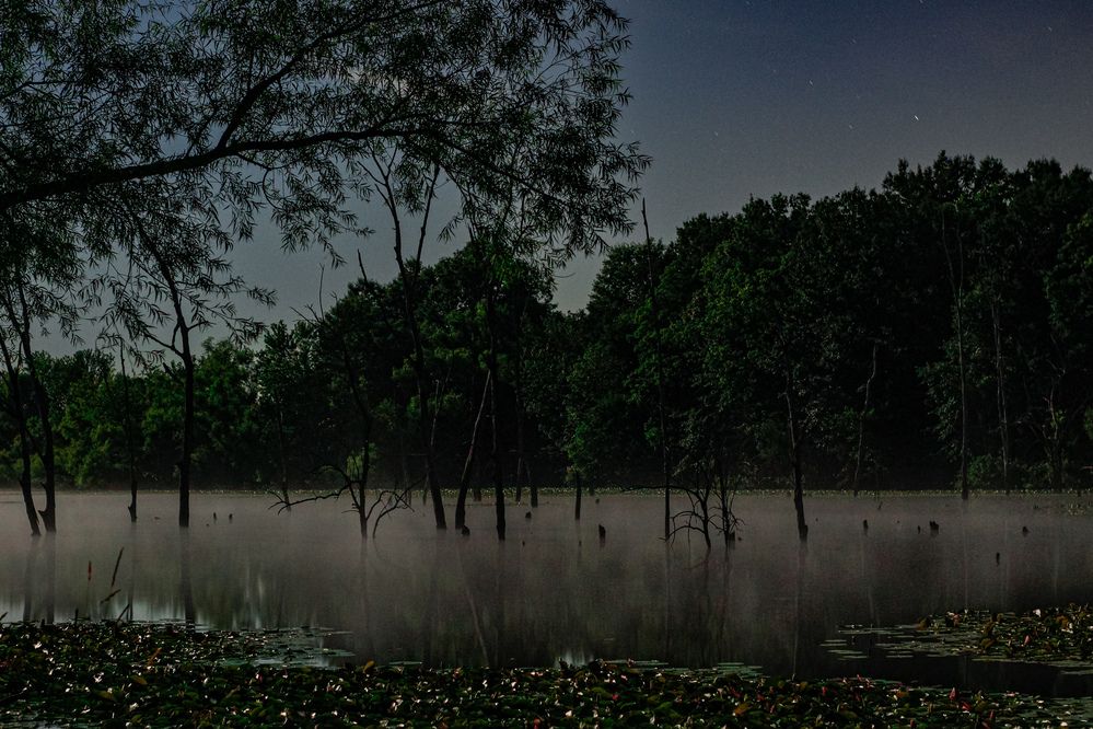 Photograph by John J Savala