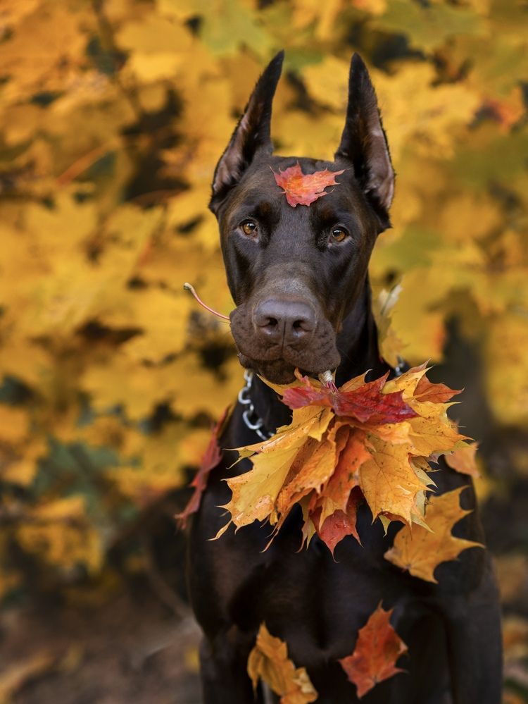Photograph by Мария Клещенко