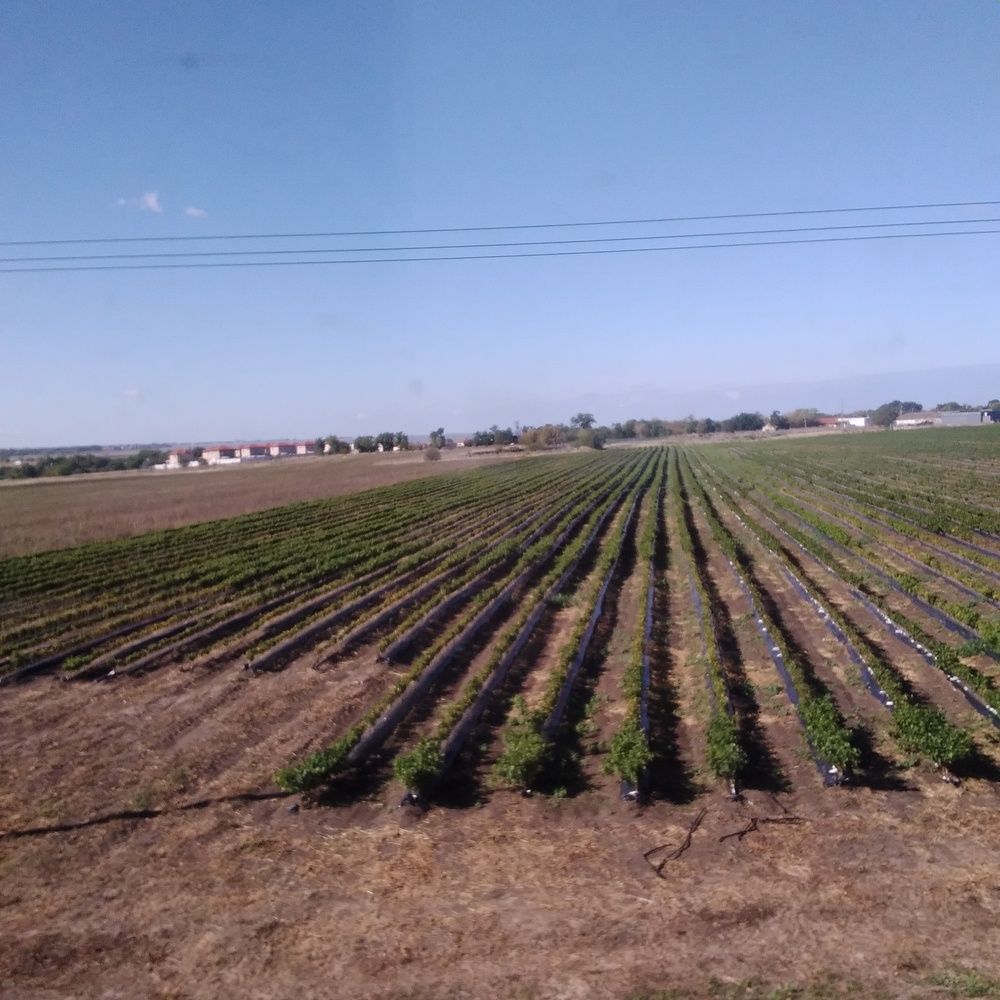 Photograph by Васильева Львовна