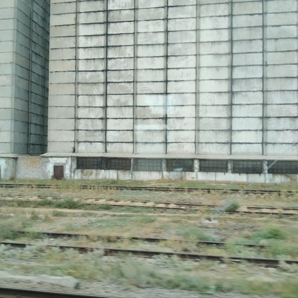 Photograph by Васильева Львовна