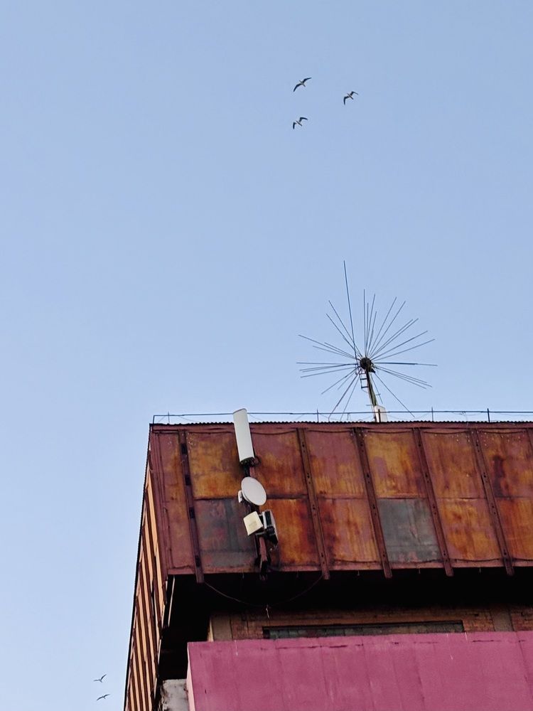 Перелетные птицы