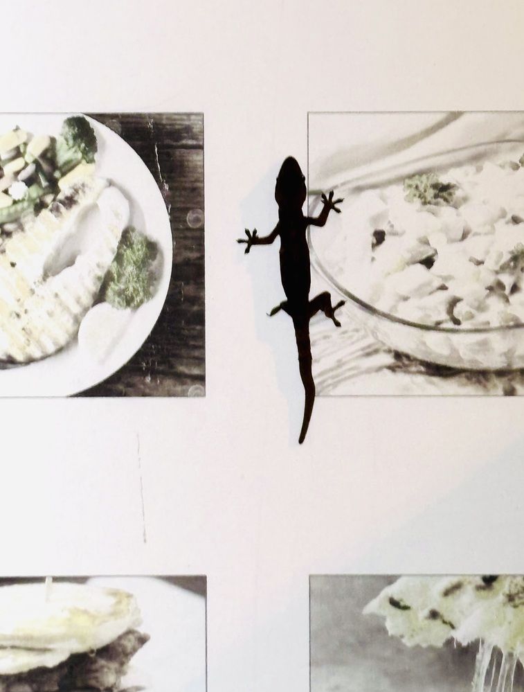 Что на обед?