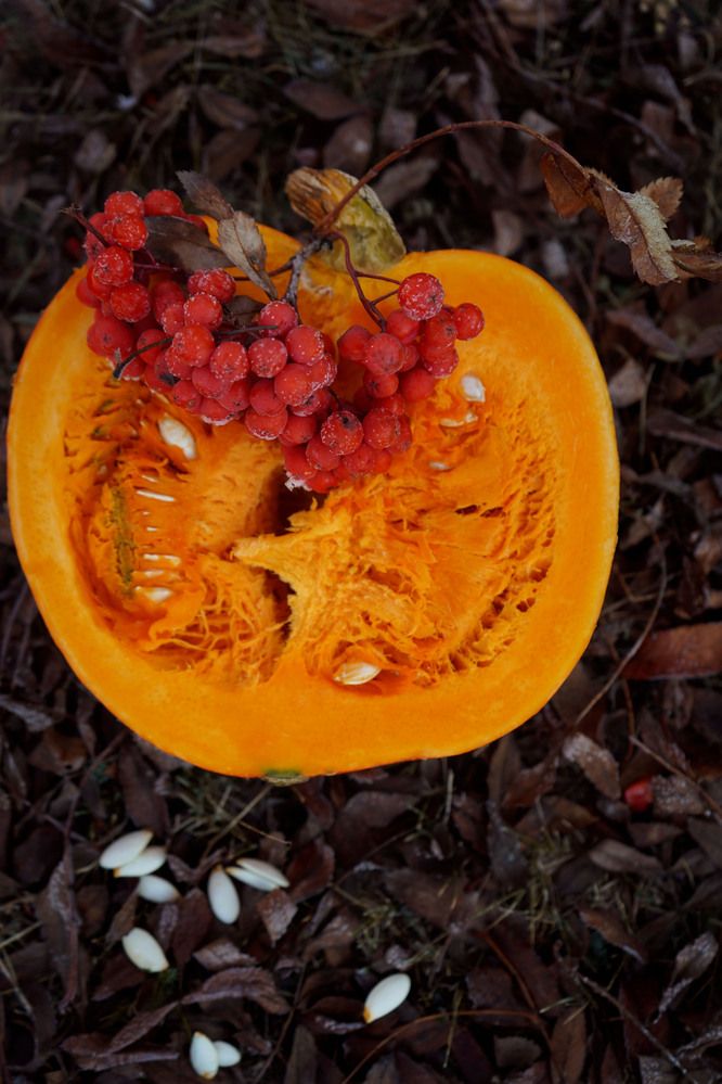 Photograph by Любовь Лунина