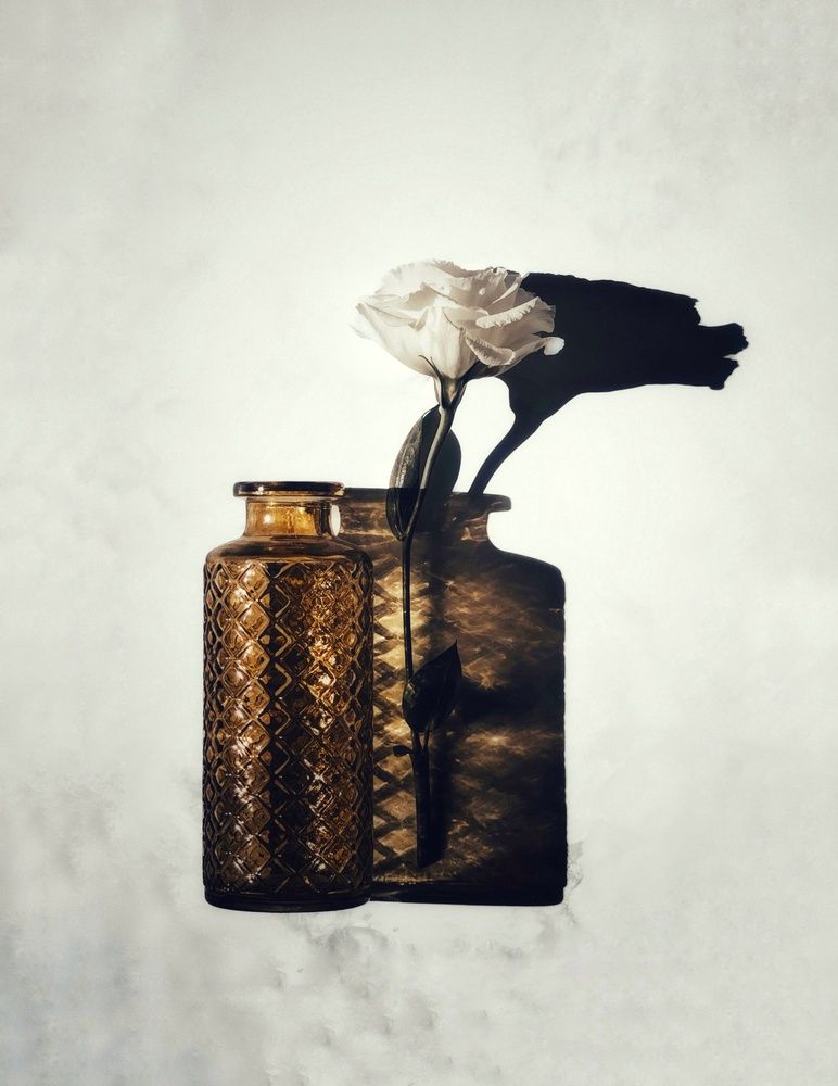 Photograph by Александра Шилова