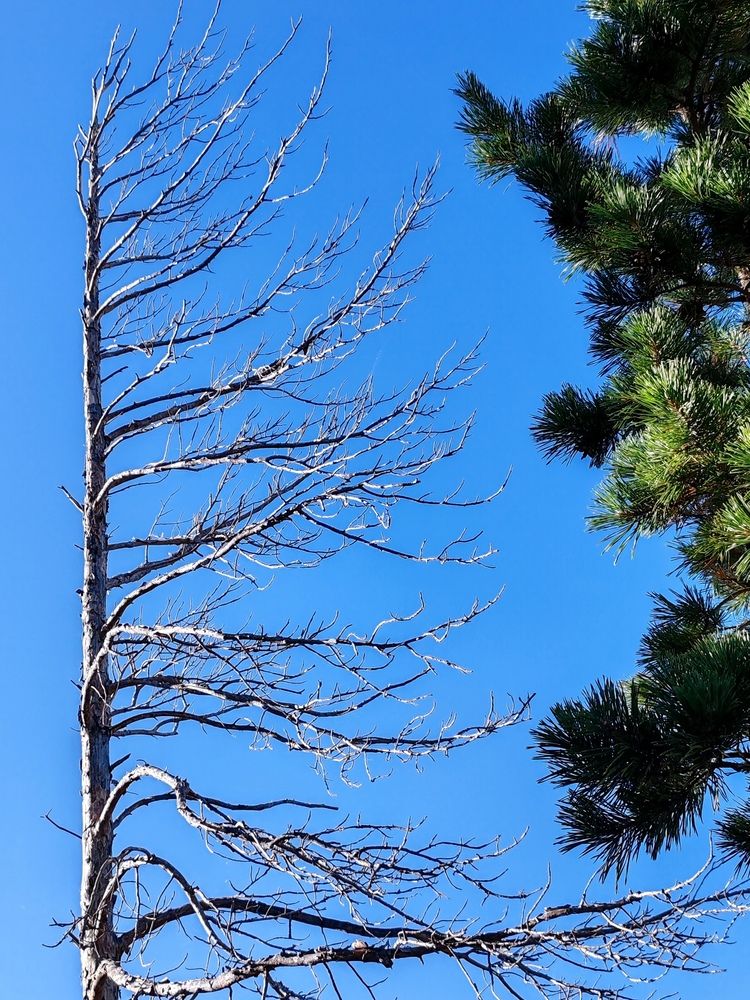 Photograph by Алёна Гильмуллина