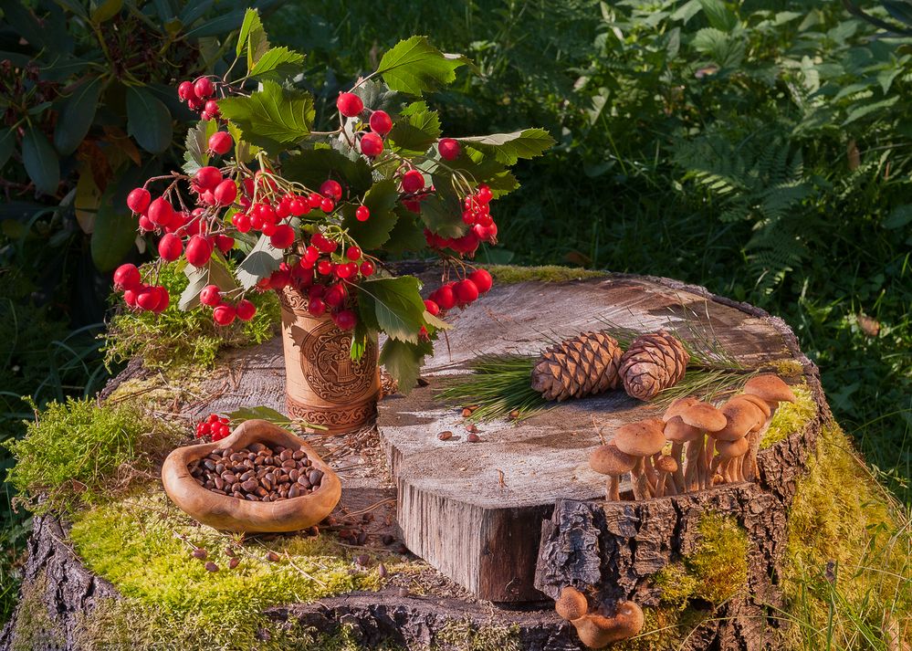 Дары октября