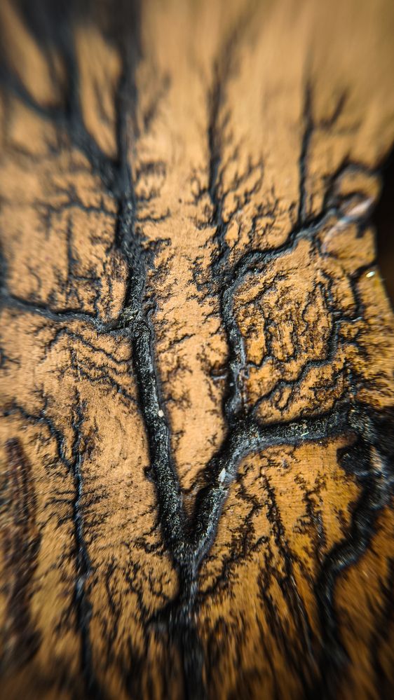 Photograph by Eugenia Blinova