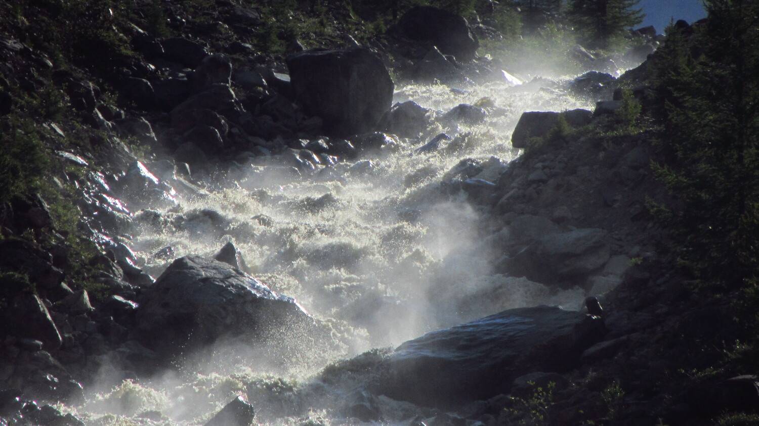 Photo #12704451