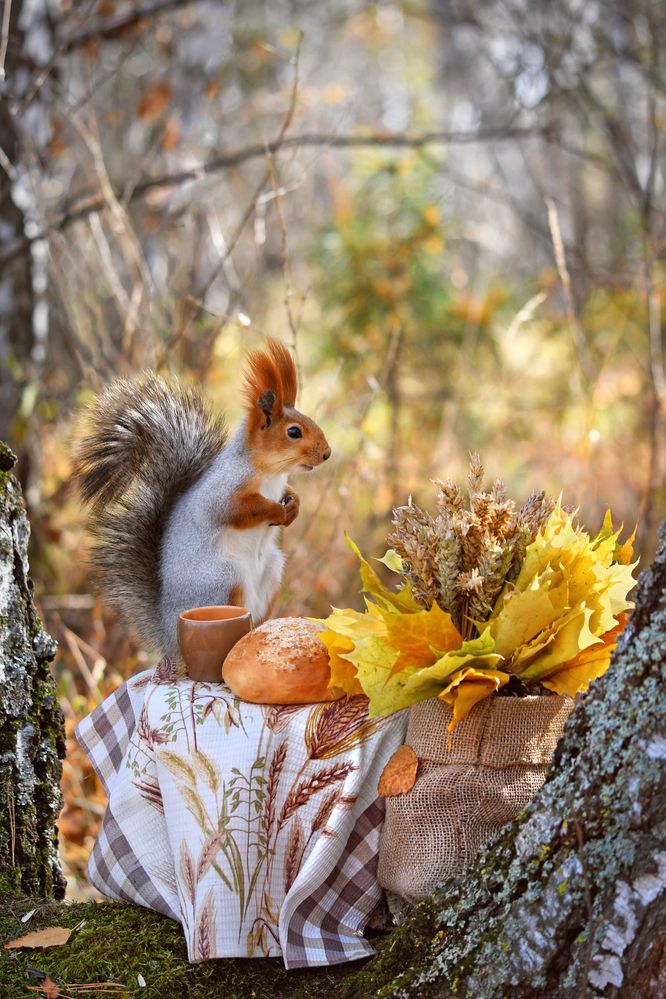 Пшеничное утро