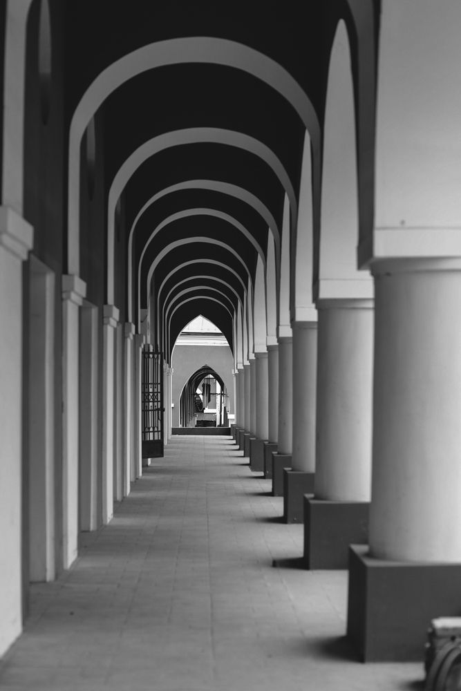 Photograph by Анастасия Урвачёва