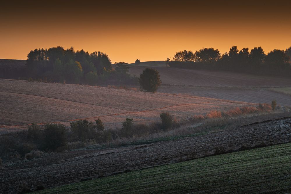 Photograph by Budyta Dariusz