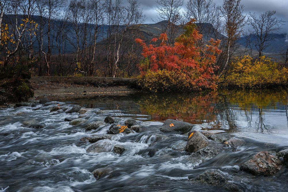 Photograph by Галина Юдина